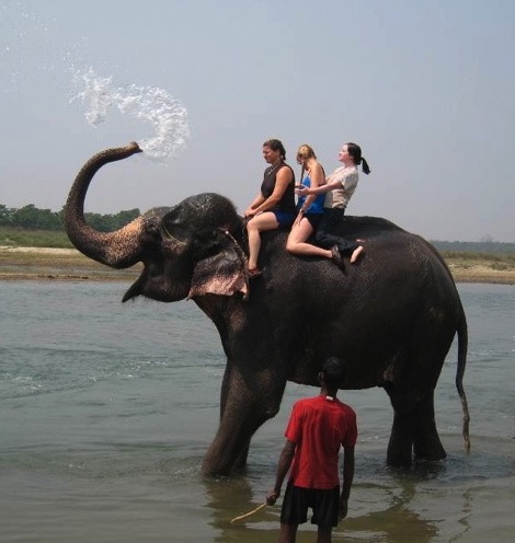 elephant-spray1.jpg
